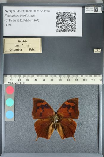 Media type: image;   Entomology 164391